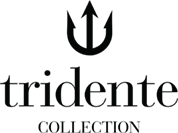 Logo Tridente Group